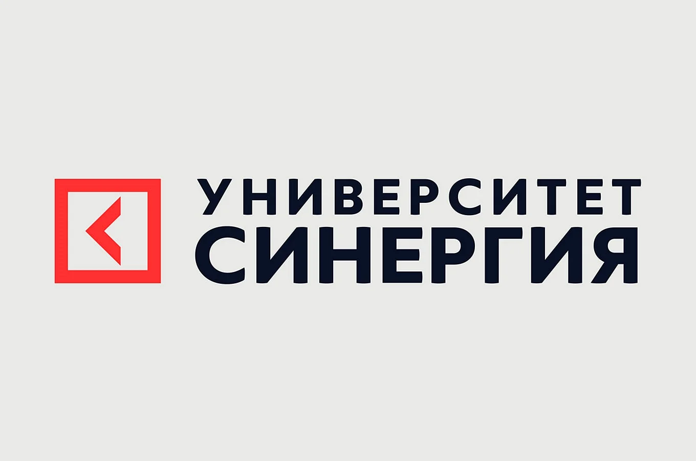 Университет Синергия