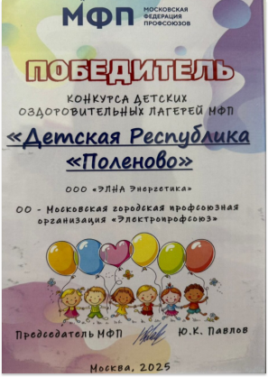 Диплом победителя детских оздоровительных лагерей МФП